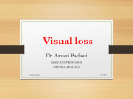 14-Visual loss (dr Amani badawi) -