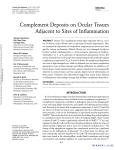 Complement Deposits on Ocular Tissues Adjacent to