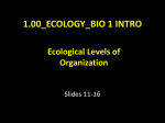1.03_Ecological Levels of Organization_11