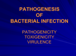 pathogenesis of bacterial infection pathogenicity toxigenicity