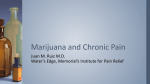 Ruiz - Marijuana and Chronic Pain1