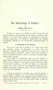 The Embryology of Patella1