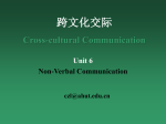 跨文化交际Cross-cultural Communication Unit 6 Non