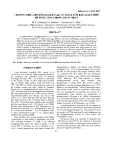 trypsin-induced hemagglutination assay for the detection of