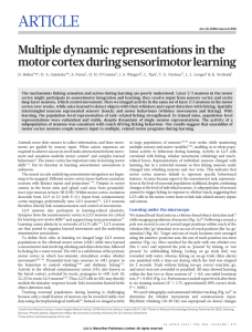 Multiple dynamic representations in the motor cortex