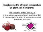 Investigating the effect of temperature on plant cell