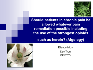 Should patients in chronic pain be allowed whatever pain