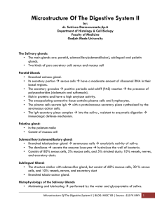 Microstructure Of The Digestive System II