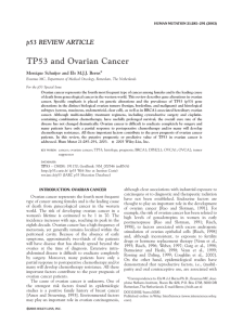 TP53 and Ovarian Cancer