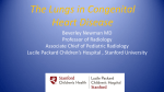 The Lungs in Congenital Heart Disease