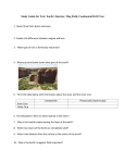 Study Guide for Test: Earth`s Interior, Mag Field, Continental Drift