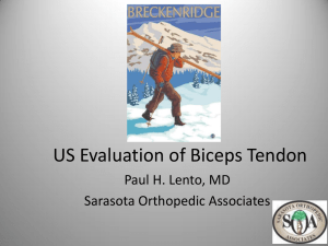 US Evaluation of Biceps Tendon
