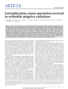 Eutrophication causes speciation reversal in whitefish adaptive