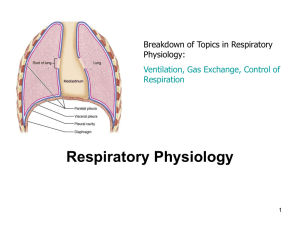 11 Respiratory physiology