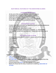 ANATOMICAL FEATURES OF THE ENDOCRINE GLANDS