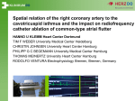 Spatial relation of the right coronary artery to the cavotricuspid