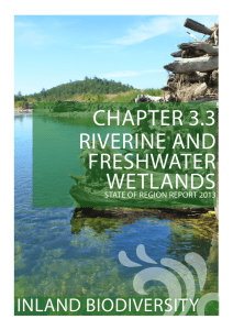 chapter 3.3 riverine and freshwater wetlands