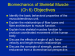 Neuromuscular Aspects (1) - K