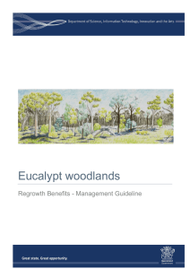 Eucalypt woodlands Regrowth Benefits