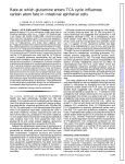 Rate at which glutamine enters TCA cycle influences carbon atom