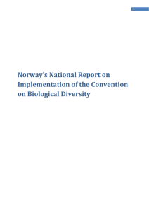Norway`s National Report on Implementation of the