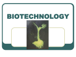 biotechnology - Wikispaces.net