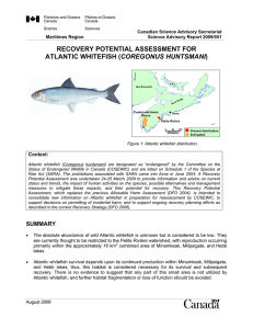 recovery potential assessment for atlantic whitefish