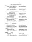 1 Spine Joints and Joint Surfaces ATLAS • Superior articular facet