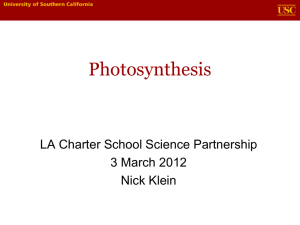 Photosynthesis, key concepts, and understandings