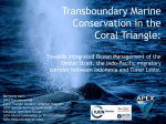 Canyons, corridors and cetaceans - Transboundary Protected Areas