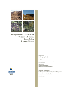 Revegetation Guidelines for Western Montana
