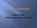 Megan Tierney Virginia Cooperative Extension