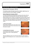 Retinal Vein Occlusion (RVO)