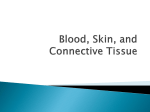 Blood, Skin, and Connective Tissue
