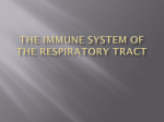 The Immune System of the Upper Respiratory Tract