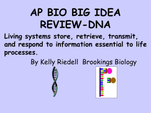 Review over DNA, RNA, proteins, viruses, bacteria, DNA technology