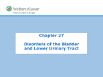NUR 304 Ch 27 Disorders of Lower Urinary Tract