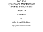 BIO 250 System and Maintainance (Plants and Animals)