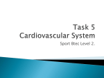 The-Cardiovascular-System