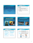 Muscular Fitness PowerPoint