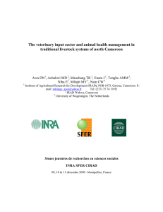 The veterinary input sector and animal health management in