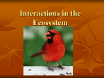 Interactions in the Ecosystem Habitats and Niches