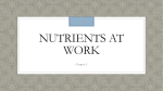 Chapter 5 Nutrients at Work