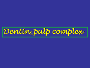 Dentin-pulp complex
