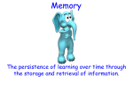 The Memory Process