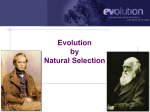 Watch Evolution PPT