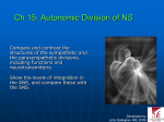 Ch 15: Autonomic Division of NS