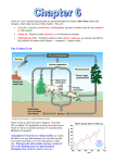 Ch6 Revision - C and N Cycles