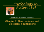 Biopsychology, Neuroscience, Physiological Psychology