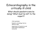 Echocardiography in the critically ill child